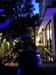 Duchess Place (D10), Semi-Detached #574220941